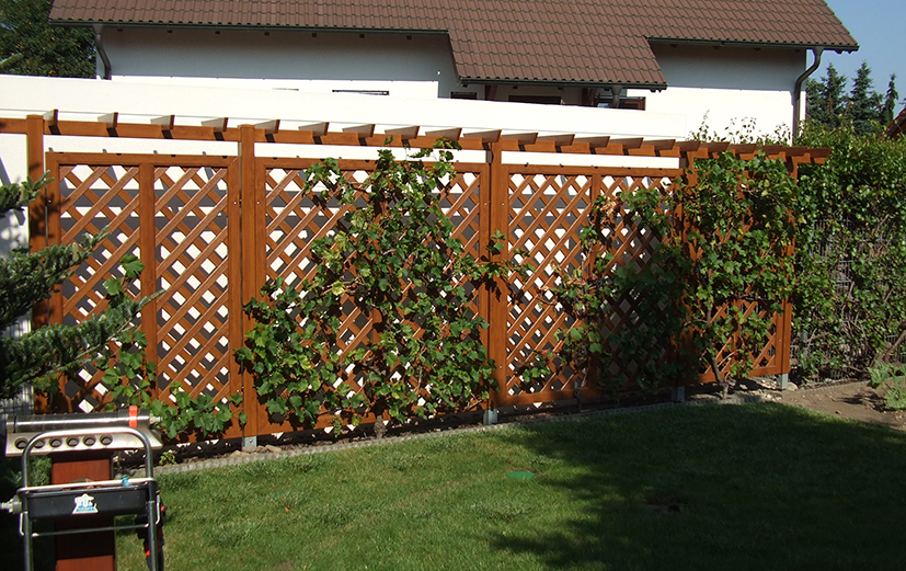 Pergola mit Stil und Funktion vereint