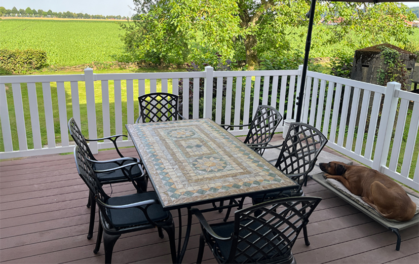 Rahmenzaun in klassischem Weiß